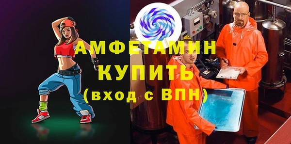 шишки Дмитровск